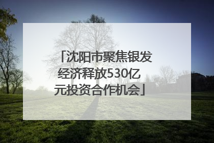 沈阳市聚焦银发经济释放530亿元投资合作机会